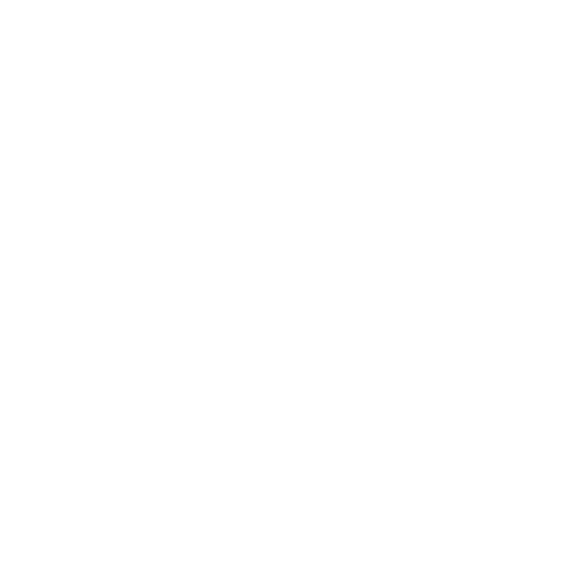 Bitcoin Icon